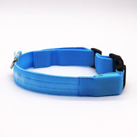 LED Pet collar