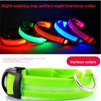 LED Pet collar