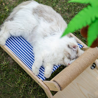 All-Season Universal Cat Scratch Post and Floor-Off Pet Bed