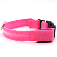 LED Pet collar
