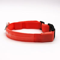 LED Pet collar