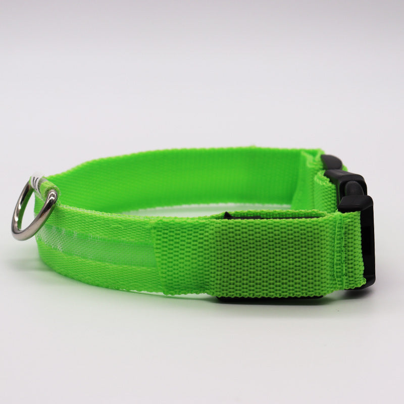 LED Pet collar