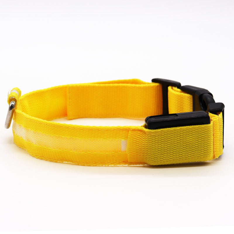 LED Pet collar