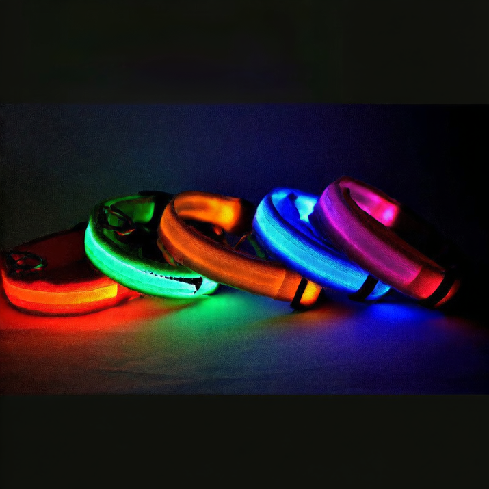 LED Pet collar